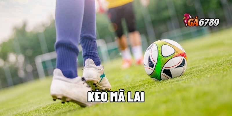 Kèo Mã Lai Chuẩn Xác 99% - Đừng Bỏ Lỡ Cơ Hội Đổi Đời 1 kèo Mã Lai